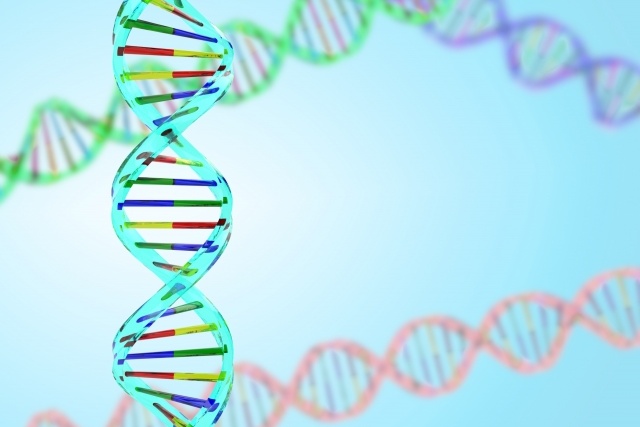 遺伝　DNAイメージ